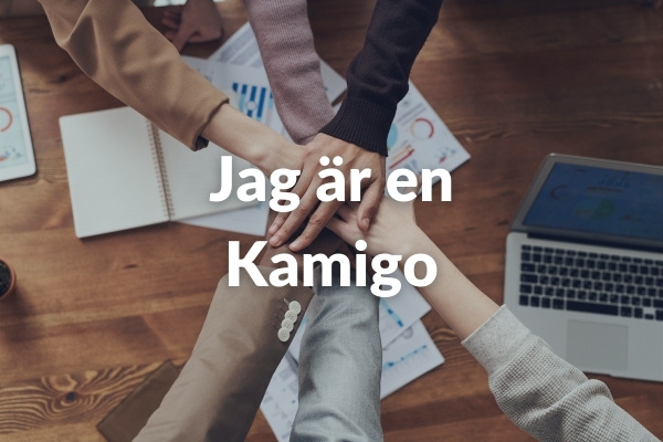 Kamigo investerar i fastighetslån 